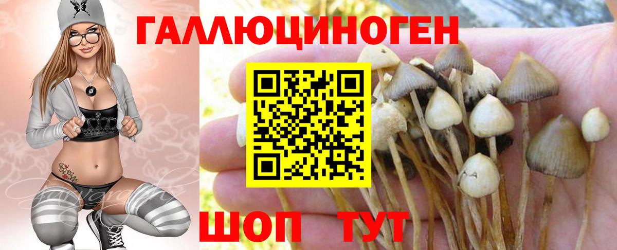 Галлюциногенные грибы мицелий Тайшет